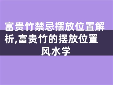 富贵竹禁忌摆放位置解析,富贵竹的摆放位置风水学