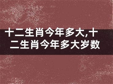 十二生肖今年多大,十二生肖今年多大岁数