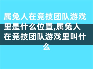 属兔人在竞技团队游戏里是什么位置,属兔人在竞技团队游戏里叫什么