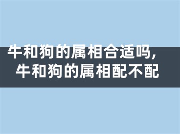 牛和狗的属相合适吗,牛和狗的属相配不配