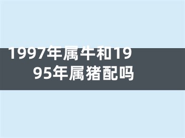 1997年属牛和1995年属猪配吗