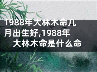 1988年大林木命几月出生好,1988年大林木命是什么命