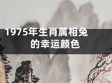 1975年生肖属相兔的幸运颜色