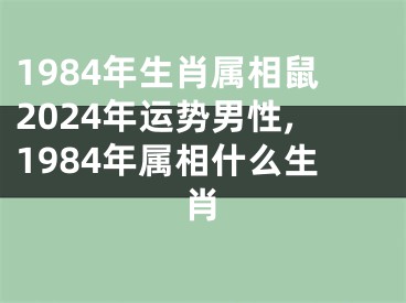 1984年生肖属相鼠2024年运势男性,1984年属相什么生肖