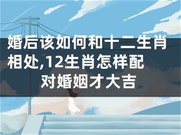 婚后该如何和十二生肖相处,12生肖怎样配对婚姻才大吉