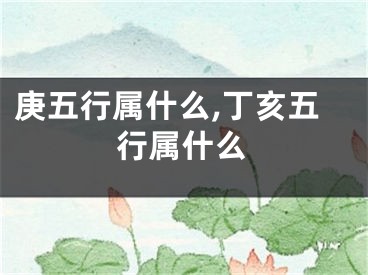 庚五行属什么,丁亥五行属什么