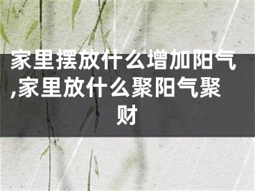 家里摆放什么增加阳气,家里放什么聚阳气聚财