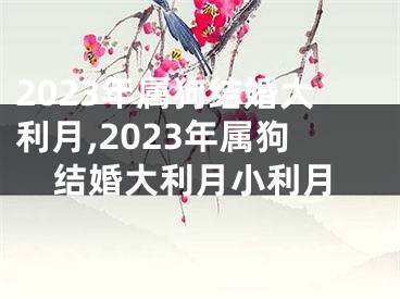 2023年属狗结婚大利月,2023年属狗结婚大利月小利月