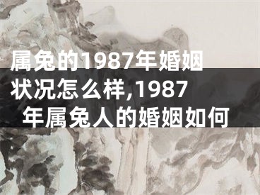 属兔的1987年婚姻状况怎么样,1987年属兔人的婚姻如何