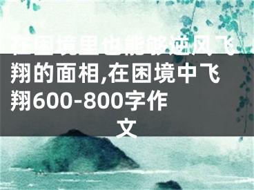 在困境里也能够逆风飞翔的面相,在困境中飞翔600-800字作文