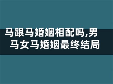 马跟马婚姻相配吗,男马女马婚姻最终结局