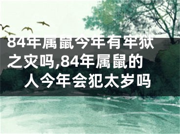 84年属鼠今年有牢狱之灾吗,84年属鼠的人今年会犯太岁吗