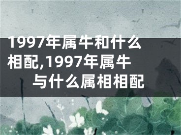 1997年属牛和什么相配,1997年属牛与什么属相相配