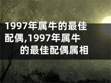 1997年属牛的最佳配偶,1997年属牛的最佳配偶属相