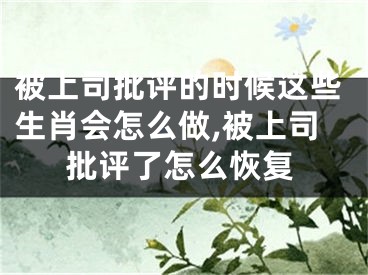 被上司批评的时候这些生肖会怎么做,被上司批评了怎么恢复