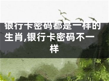 银行卡密码都是一样的生肖,银行卡密码不一样