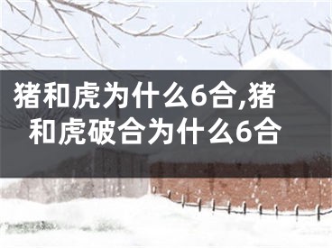 猪和虎为什么6合,猪和虎破合为什么6合