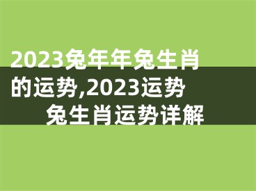 2023兔年年兔生肖的运势,2023运势兔生肖运势详解