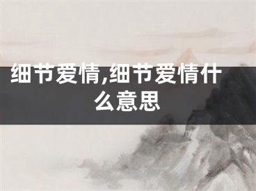 细节爱情,细节爱情什么意思