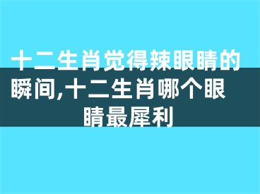 十二生肖觉得辣眼睛的瞬间,十二生肖哪个眼睛最犀利