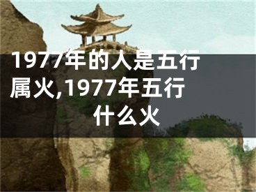 1977年的人是五行属火,1977年五行什么火