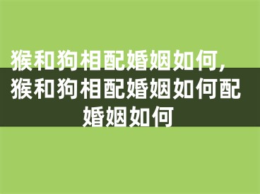 猴和狗相配婚姻如何,猴和狗相配婚姻如何配婚姻如何