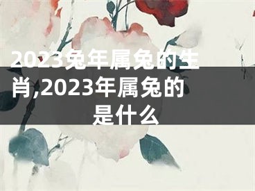 2023兔年属兔的生肖,2023年属兔的是什么