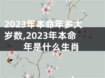 2023年本命年多大岁数,2023年本命年是什么生肖