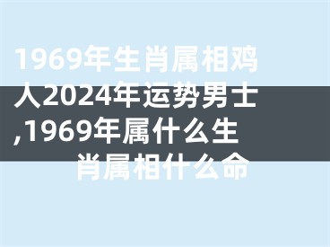 1969年生肖属相鸡人2024年运势男士,1969年属什么生肖属相什么命