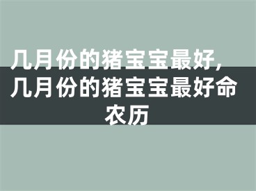 几月份的猪宝宝最好,几月份的猪宝宝最好命农历