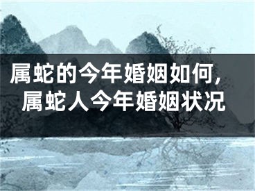 属蛇的今年婚姻如何,属蛇人今年婚姻状况