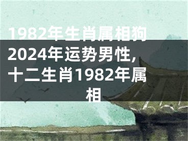 1982年生肖属相狗2024年运势男性,十二生肖1982年属相