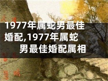 1977年属蛇男最佳婚配,1977年属蛇男最佳婚配属相