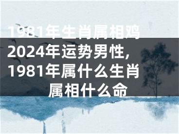 1981年生肖属相鸡2024年运势男性,1981年属什么生肖属相什么命