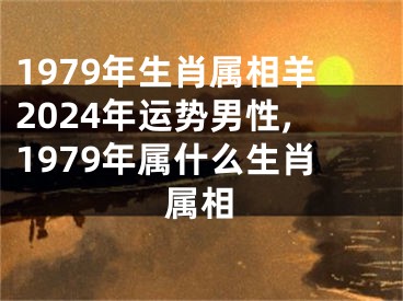 1979年生肖属相羊2024年运势男性,1979年属什么生肖属相