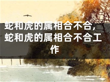 蛇和虎的属相合不合,蛇和虎的属相合不合工作