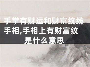 手掌有财运和财富纹线手相,手相上有财富纹是什么意思