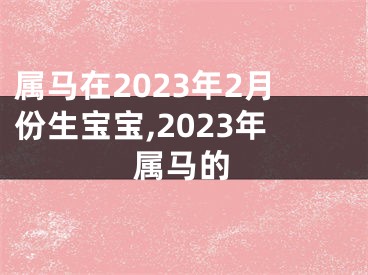 属马在2023年2月份生宝宝,2023年属马的