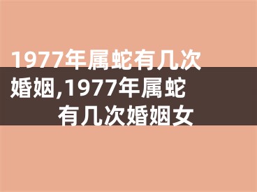 1977年属蛇有几次婚姻,1977年属蛇有几次婚姻女