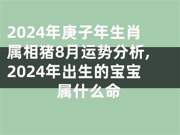 2024年庚子年生肖属相猪8月运势分析,2024年出生的宝宝属什么命