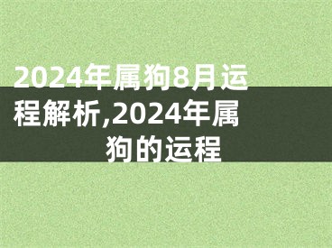 2024年属狗8月运程解析,2024年属狗的运程