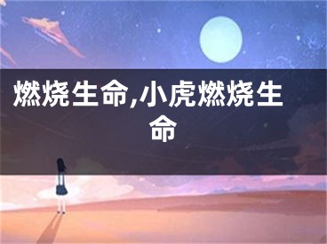 燃烧生命,小虎燃烧生命