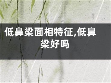 低鼻梁面相特征,低鼻梁好吗