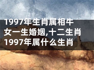 1997年生肖属相牛女一生婚姻,十二生肖1997年属什么生肖