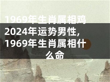 1969年生肖属相鸡2024年运势男性,1969年生肖属相什么命