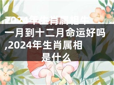 2024年生肖属相牛一月到十二月命运好吗,2024年生肖属相是什么