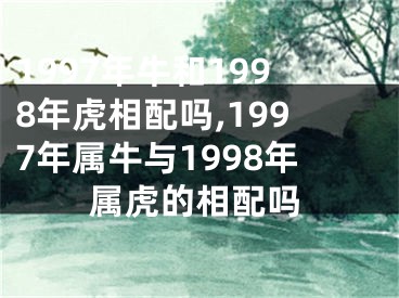 1997年牛和1998年虎相配吗,1997年属牛与1998年属虎的相配吗