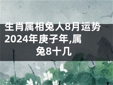 生肖属相兔人8月运势2024年庚子年,属兔8十几