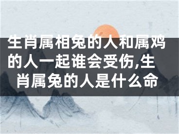 生肖属相兔的人和属鸡的人一起谁会受伤,生肖属兔的人是什么命