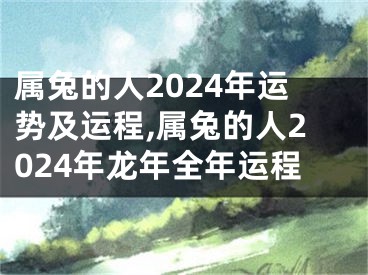 属兔的人2024年运势及运程,属兔的人2024年龙年全年运程